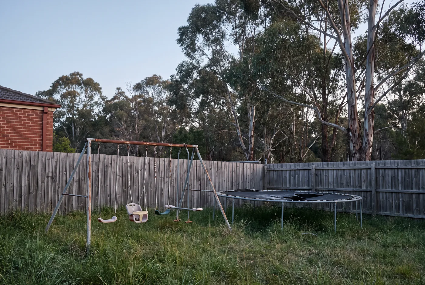 An outgrown swing set and a weathered trampoline standing in long grass against a paling fence, tall gums beyond