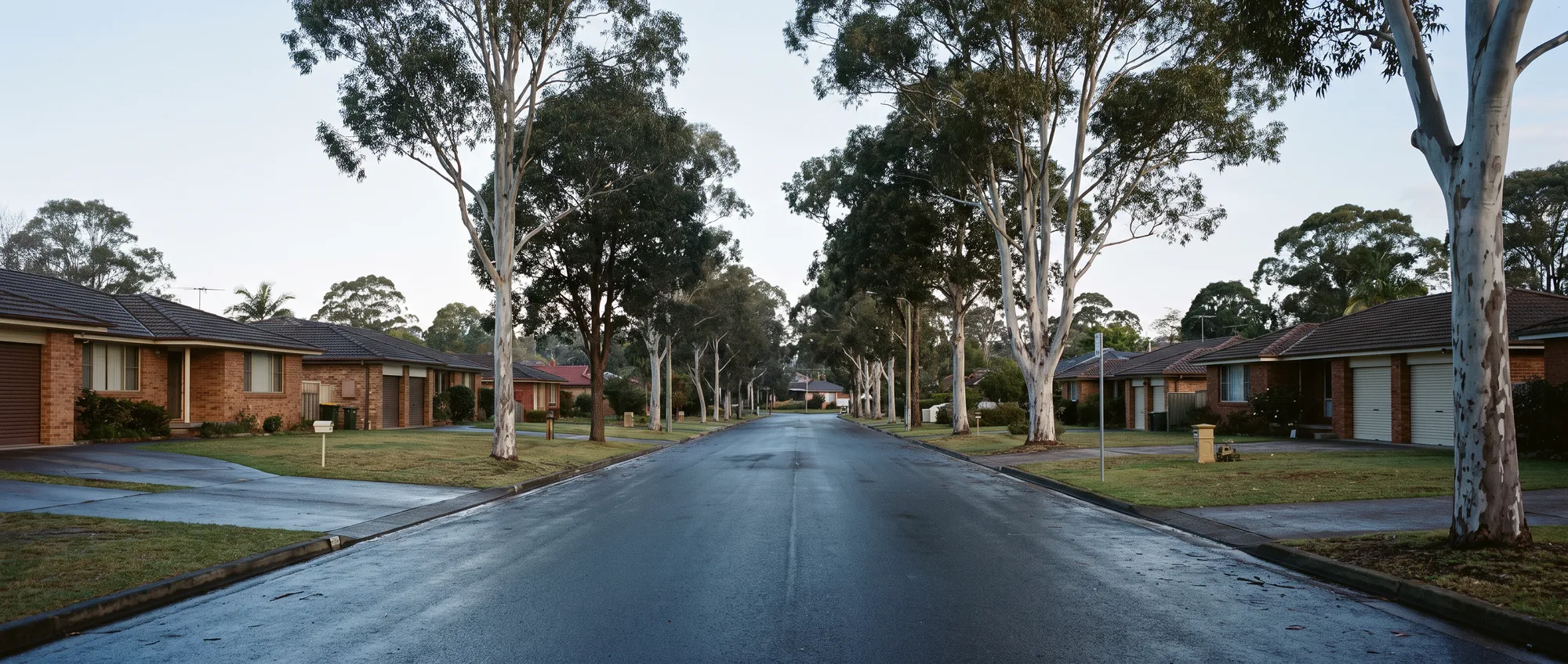 A level, tree-lined residential street of brick and tile houses with wide driveways and double garages, road drying after a wind change